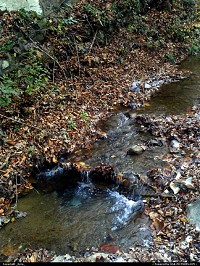 Photo by _Kyra_ | Clear Fork  creek, water, crystal, fall, autum